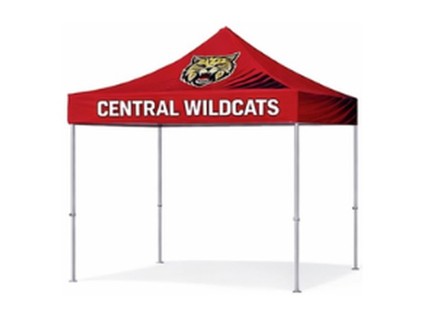 Custom printed canopy tent with printed peak and valances only
