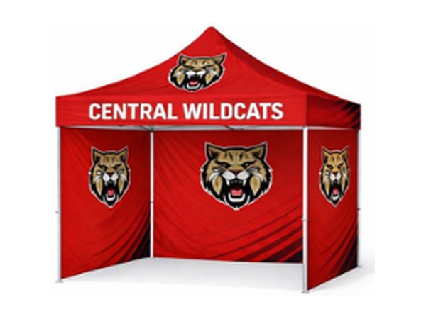 Fully enclosed custom canopy tent with printed back and side walls